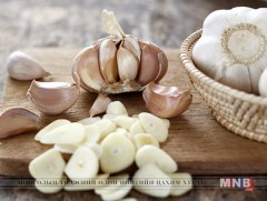 Сармис нь судсыг өөхжин хатуурахаас сэргийлдэг 