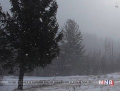 Өнөөдөр нутгийн зарим хэсгээр бага зэргийн цастай 