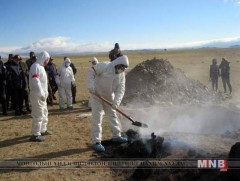 Өвөрхангайд үүссэн шүлхий өвчинд ариутгал халдваргүйтгэл хийж байна