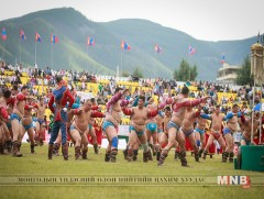 Сэргээшийн шинжилгээнд хамрагдсан 31 бөхийн нэр тодров