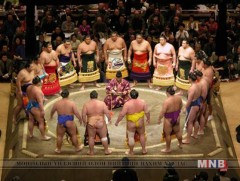 Дээд зиндаанд манай улсын зургаан бөх хүч үзнэ