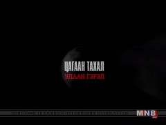 Хар тамхитай холбоотой хэргээр Монгол Улсын 38 иргэн гадаадад ял эдэлж байна