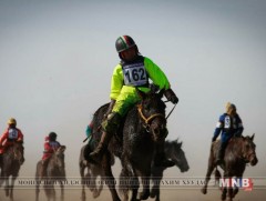 “Дүнжингарав-2018” уралдаанд түрүүлж, айрагдсан азарга, их насны цуваа