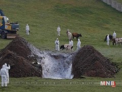 Шүлхийгээр хорогдсон таван айлын 49 үхрийг 41,3 сая төгрөгөөр үнэлж нөхөн төлбөр ногдуулахаар болжээ