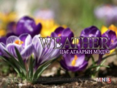 Улаанбаатарт шөнөдөө 4 хэм хүйтэн