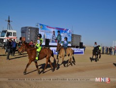 Сүхбаатарын аварга хүлэг шалгаруулах уралдааны түрүү, айрагт хурдалсан хүлгийг танилцуулья