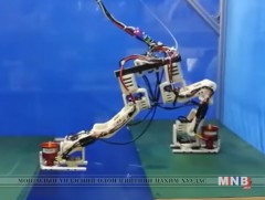 Jet-HR1 Робот сэнсний тусламжтайгаар тэнцвэрээ олж сурчээ