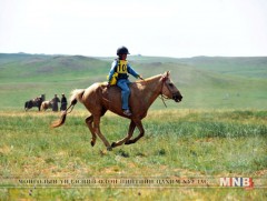 Уралдаанч хүүхдийн хувцас, морины хэрэгсэлийн стандартыг шинэчилнэ