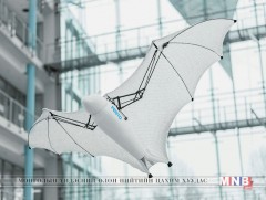 Робот сарьсан багваахай зохион бүтээжээ