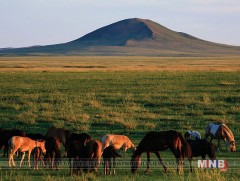 “Очирваанийн хурд” МСУХ дахин өөрчлөлт хийжээ