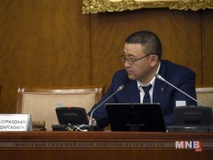 Гааль, НӨАТ-аас чөлөөлөх тухай хуулийн төслүүдийн анхны хэлэлцүүлгийг хийлээ