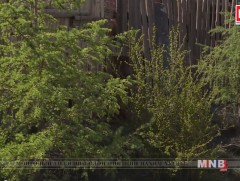 Үлгэр жишээ ногоон айл