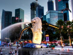 АНУ, Умард Солонгосын дээд хэмжээний  уулзалт Сингапурт болно