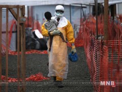 Эбола вирусын халдвар Конго улсад тархаад байна