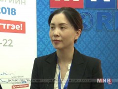 MEF-2018: Christine Zhenwei Qiang