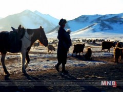  “Малчин” баг дахин байгуулах  тухай хэлэлцлээ