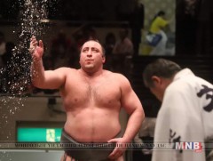 Точиношин арслан цолоо гардав