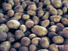 Өрхүүдэд төмс, хүнсний ногооны үр олгов