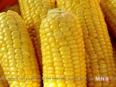 БНХАУ АНУ-аас эрдэнэшиш импортлохоо бүрэн зогсоожээ 