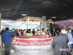 “Дэлхийн шим ертөнцийн үүсэл хөгжил” үзэсгэлэнгийн шинэ танхим нээгдлээ