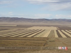 Тариалангийн бүс нутгийг тогтоолоо