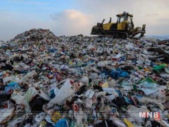 Тайландын далайн эрэгт хар далайн гахай гялгар уутаар огиулж үхсэн байна