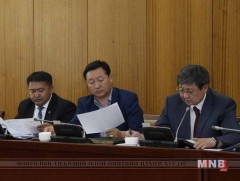 Хуулийн шинэчилсэн найруулгын төслийг хэлэлцэхийг дэмжив