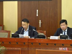 Улсын Их Хурлын гишүүн Д.Гантулгын хүсэлтийг дэмжлээ