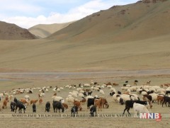 Нийт нутгийн 90 хувь нь гандуу байна
