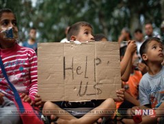 АНУ-ын эрх баригчид 500 гаруй хүүхдийг хууль бус цагаач эцэг, эхэд нь эргүүлэн өгчээ 