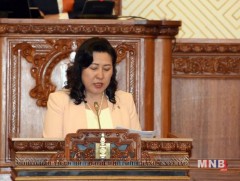 Орон нутгийн хамгаалалтын тухай хуулийн төслийг батлав