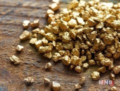 Эко алтны үйлдвэрлэлийг дэмжих нь нийгмийн хариуцлага юм