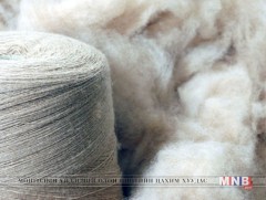 2000 хүнийг ажлын байраар хангах ноолуурын анхан шатны цогцолбор үйлдвэрийг байгуулна