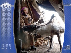 Цаатан иргэдийн НД-ын шимтгэлд шаардагдах хөрөнгийг жил бүрийн төсөвт тусгана