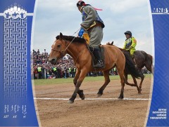 Баяр наадмын Соёолон насны морьд гарааны зурхай руу хөдөллөө