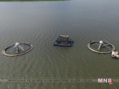 Бразилд загас үржүүлгийн фермийн байгууламжийг барьж эхэлжээ 