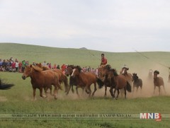 Анх удаа баг Түмэн адууны баяраа тэмдэглэв