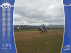 Н.Баярхүүгийн хүрэн даага түрүүллээ 