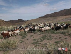 Өмнөговь аймгийн нийт нутгийн 85 хувь нь гантай байна