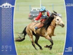 Азарга гарааны зурхайгаас эргэлээ 