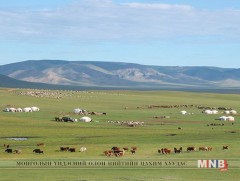 Өнөөгийн байдлаар Говь-Алтай аймагт 4,5 сая толгой мал идээшилж байна