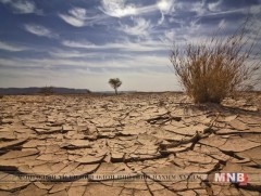 Цөлжилтийн эсрэг иргэд юуг анхаарах вэ