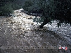 Гол, усны аюулаас урьдчилан сэргийлэхийг анхааруулж байна