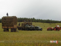 Төв аймаг өвөлжилтийн бэлтгэл ажилд онцгойлон анхаарч байна