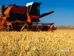 Тариалалт өмнөх оноос 1,8 дахин нэмэгджээ