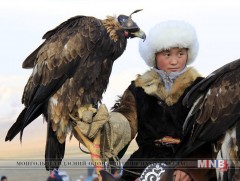 Гаршуулсан бүргэдийг байгальд буцаан тавина