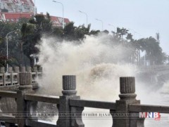 Мангхут хар шуурганы уршгаар Хятадын 2 хүн амь насаа алджээ