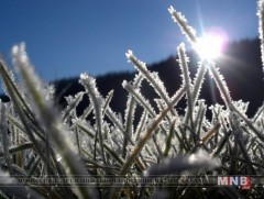 Энэ сард цочир хүйтрэх төлөвтэй байна 