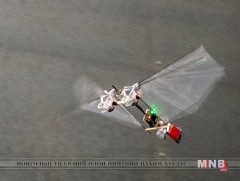 Нисдэг бичил робот шавж “Nimble” км гаруй газар хүрч очих боломжтой