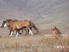 “Өнөөдрийн Монгол” үзэсгэлэн маргааш хүртэл үргэлжилнэ